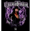 Boy's WWE Undertaker Purple Lightning Logo T-Shirt -WWE Store GUEST 76602d7a ced4 4383 8644 847b42593c22