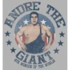 Boy's WWE Andre The Giant 8th Wonder Of The World Distressed T-Shirt